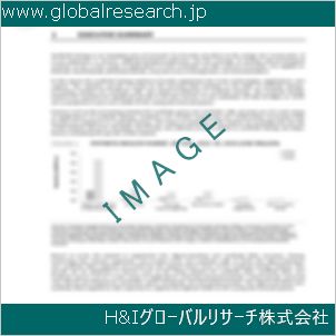 グローバルリサーチ調査資料のイメージ